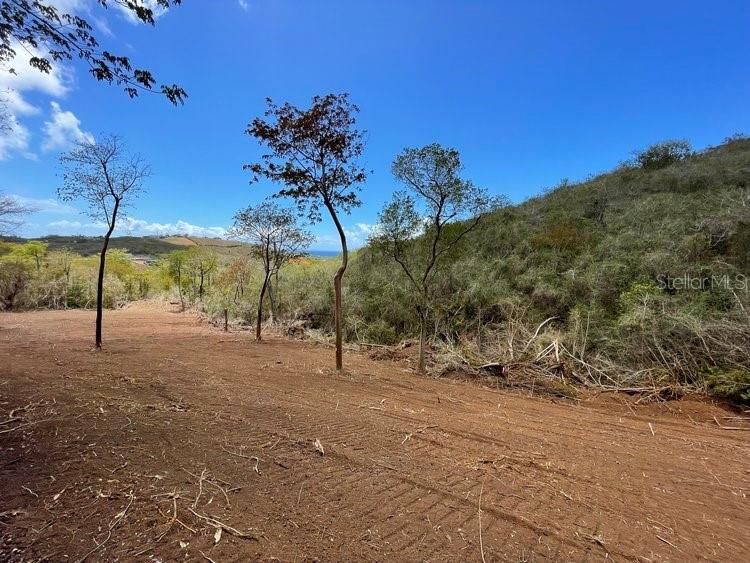 For Sale: $80,000 (0.63 acres)