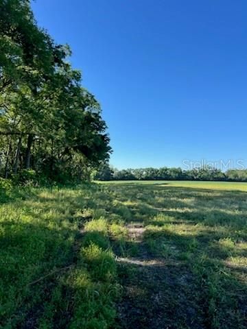 Active With Contract: $195,000 (19.39 acres)