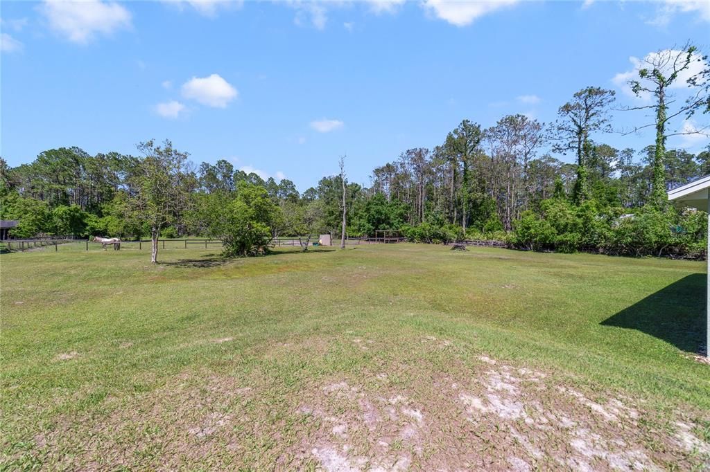 2.39 ACRES!