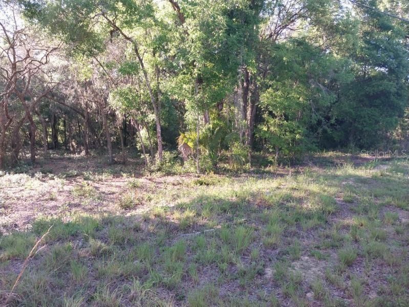 Active With Contract: $7,900 (0.27 acres)