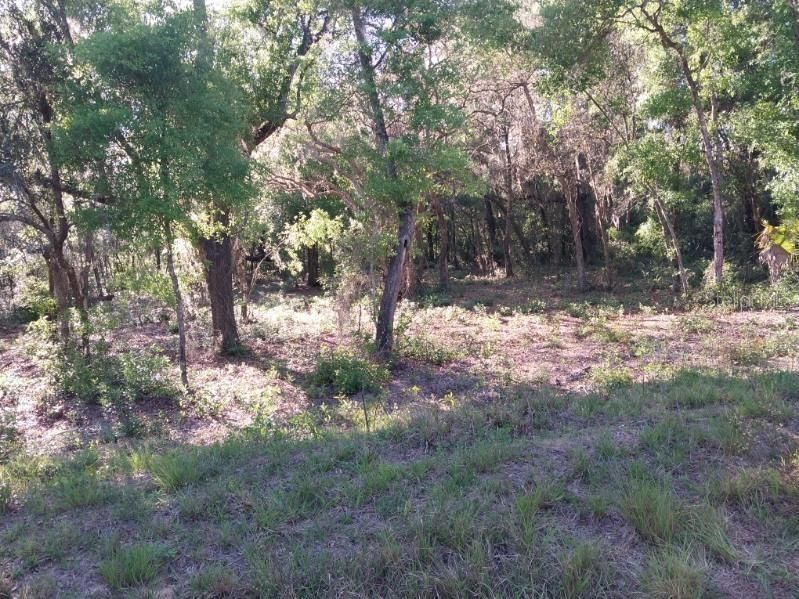 Active With Contract: $7,900 (0.27 acres)