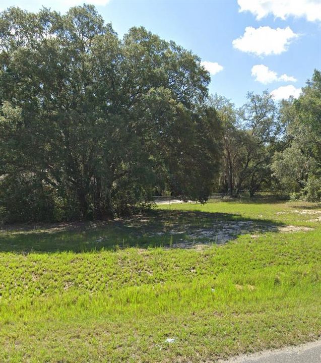 Recently Sold: $16,500 (0.31 acres)