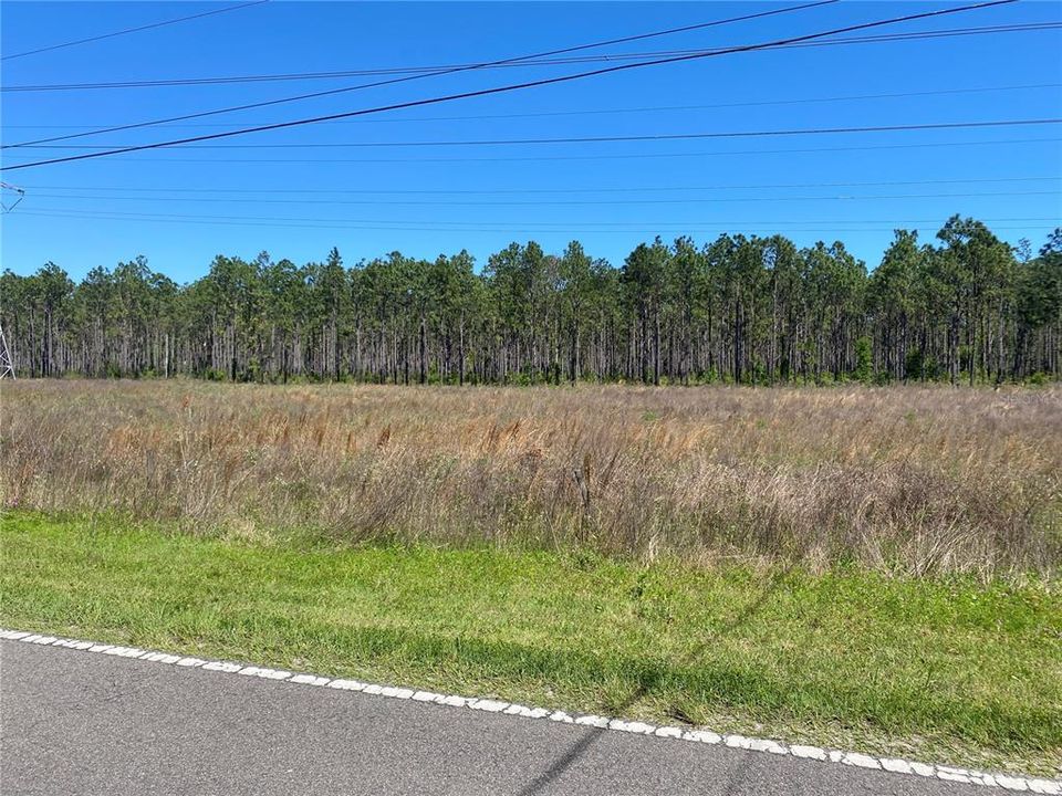 View from the front of the property