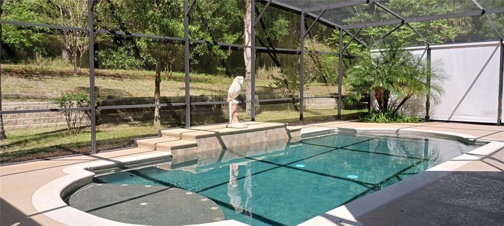 52 ft pool screen enclosure 6614 Sinisi Dr Mt Dora FL Chesterhill Estates