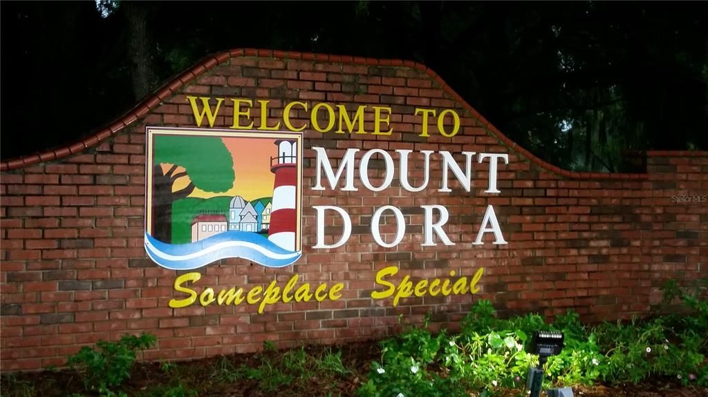 Mt Dora someplace special