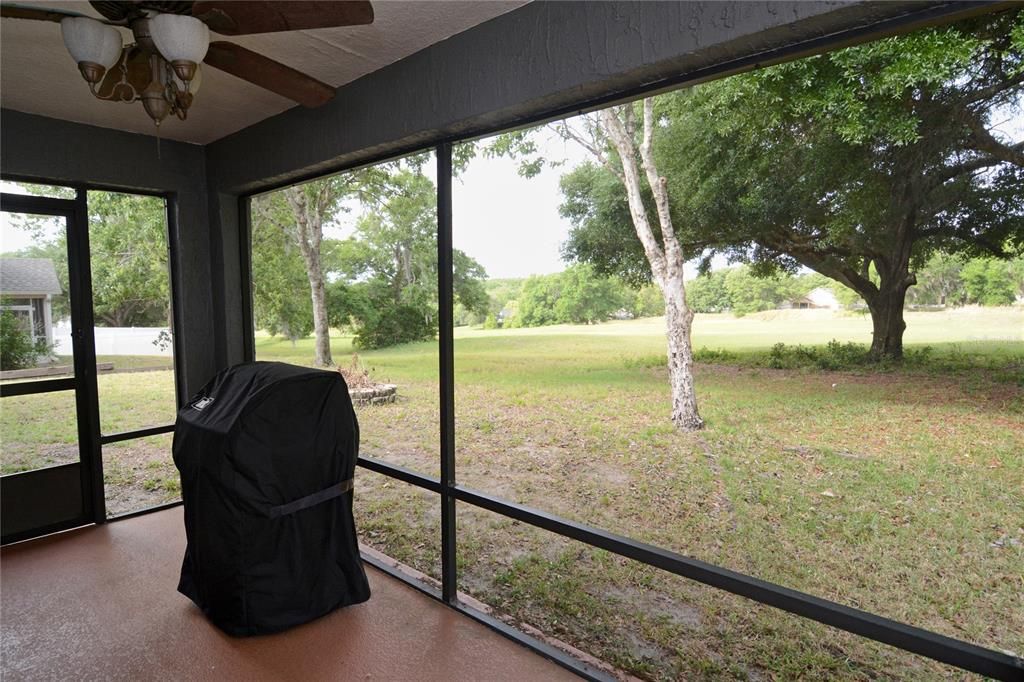 Covered & screened in patio with a great view!