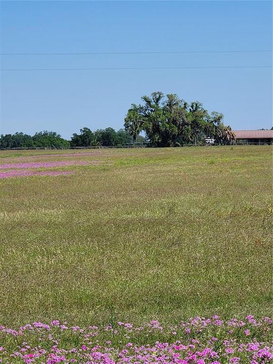 For Sale: $325,000 (10.30 acres)