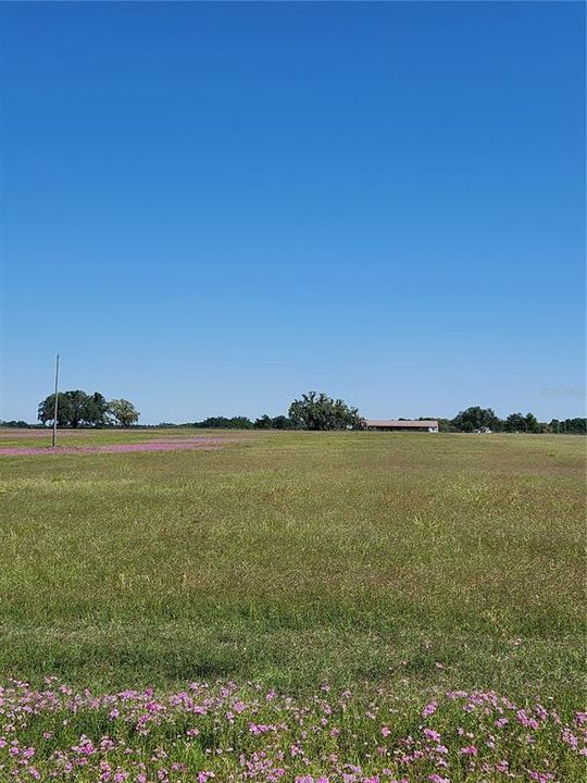 For Sale: $325,000 (10.30 acres)