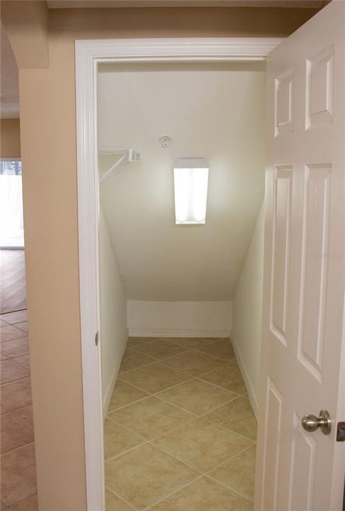 Downstairs - under stair closet