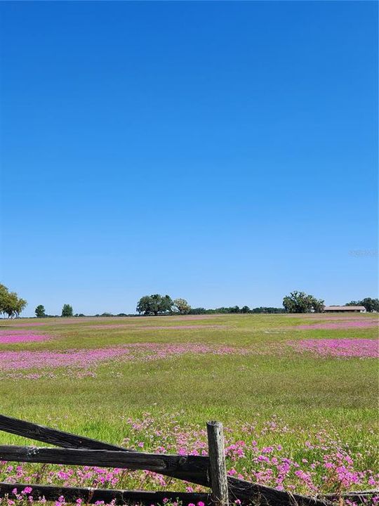 На продажу: $340,000 (10.30 acres)