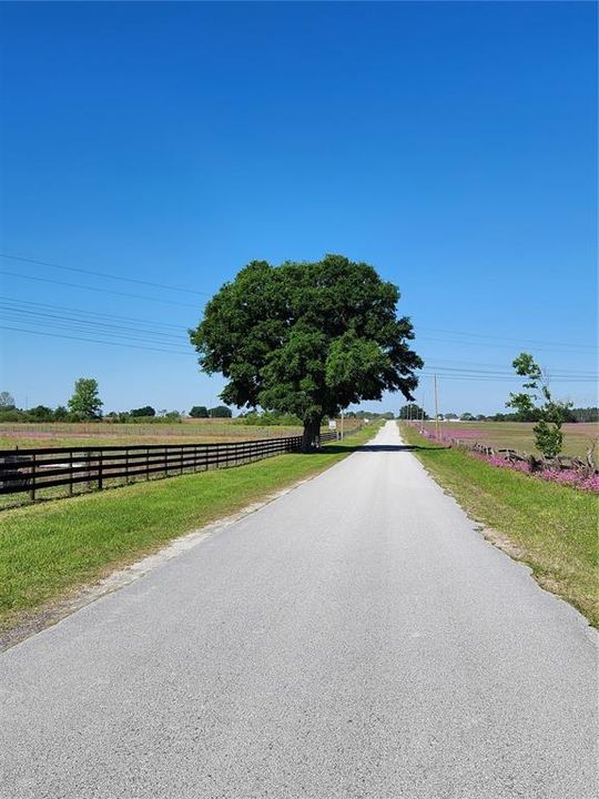 На продажу: $340,000 (10.30 acres)