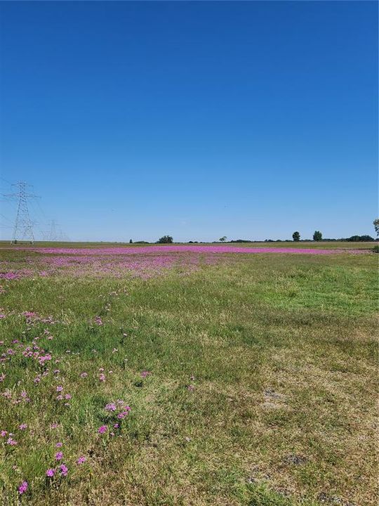 На продажу: $249,900 (10.30 acres)