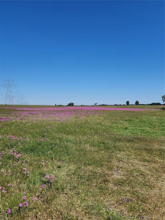 На продажу: $249,900 (10.30 acres)