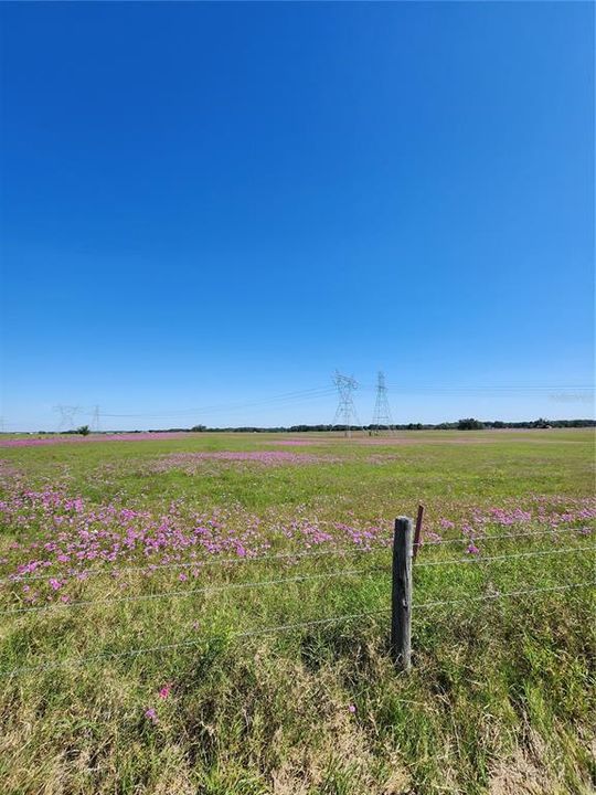 待售: $289,900 (13.30 acres)