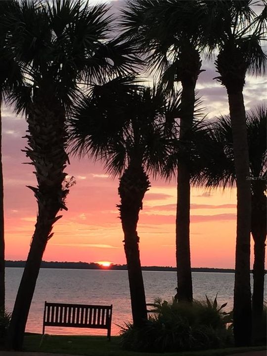 Sunset View of Tampa Bay