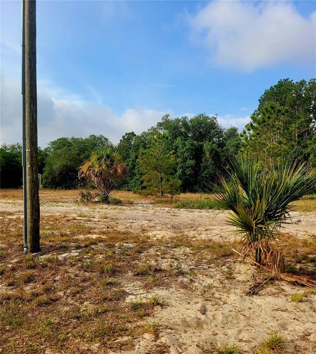 En Venta: $147,900 (0.97 acres)