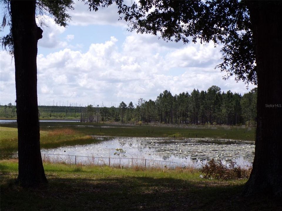 Lake view in back yard