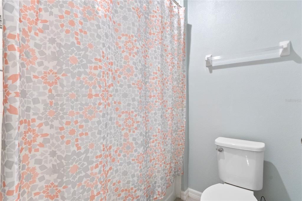 Guest/Hall bathroom