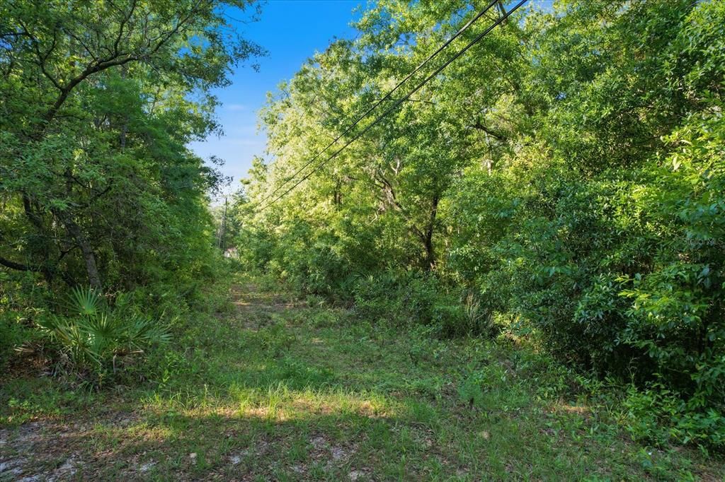For Sale: $165,000 (4.38 acres)