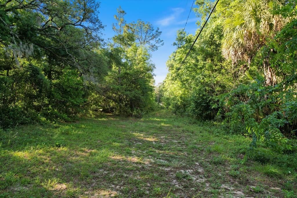 For Sale: $165,000 (4.38 acres)