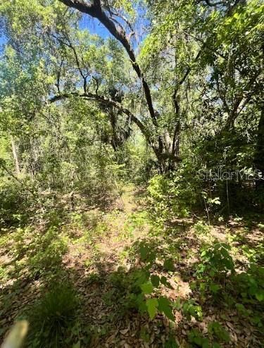 For Sale: $86,999 (1.50 acres)