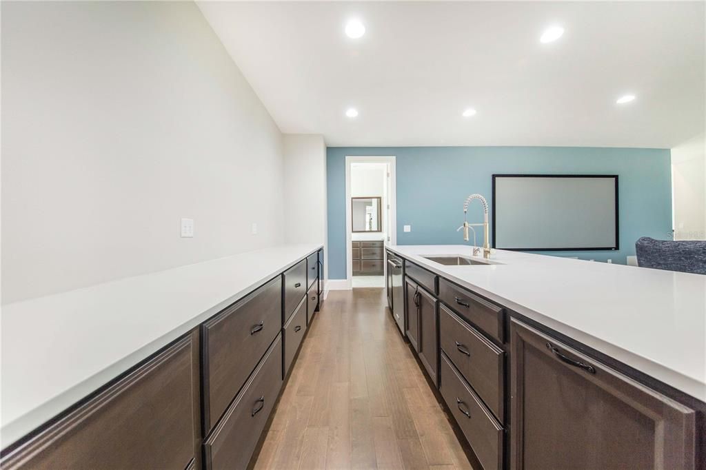 Sports Bar Features Quartzite Countertops, Beverage Fridges and Dishwasher. View towards the Media Area and Spare Bathroom