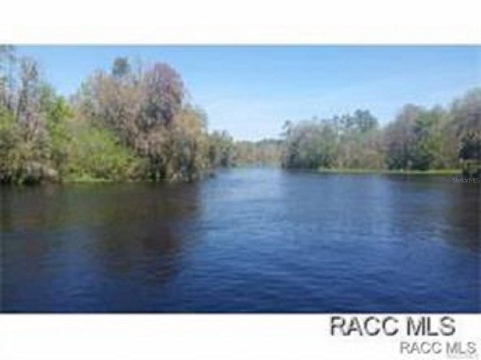 Serene Withlacoochee River