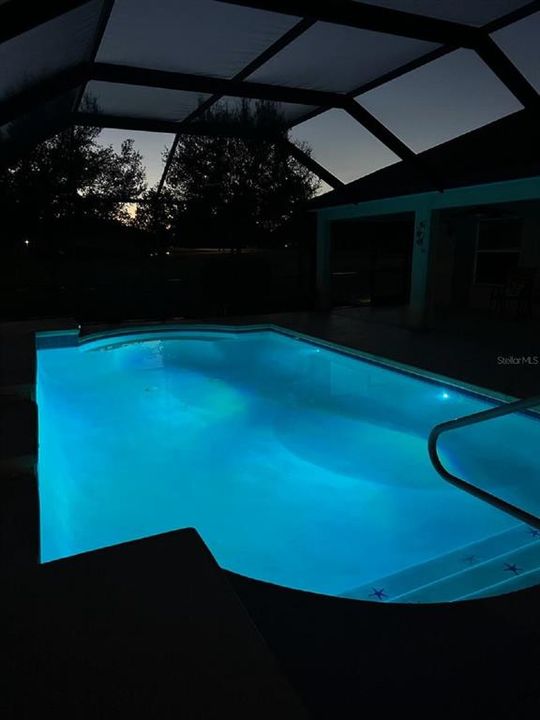 Caged Solar Heated Pool Evening Lights