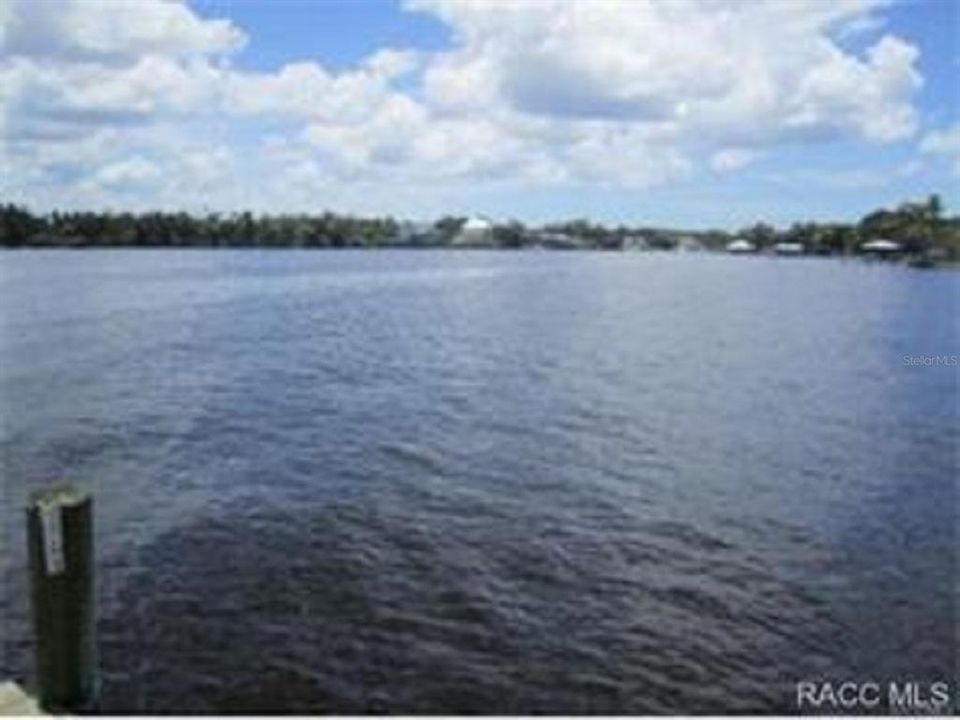 Open Homosassa River w/Direct Access To Gulf of Mexico