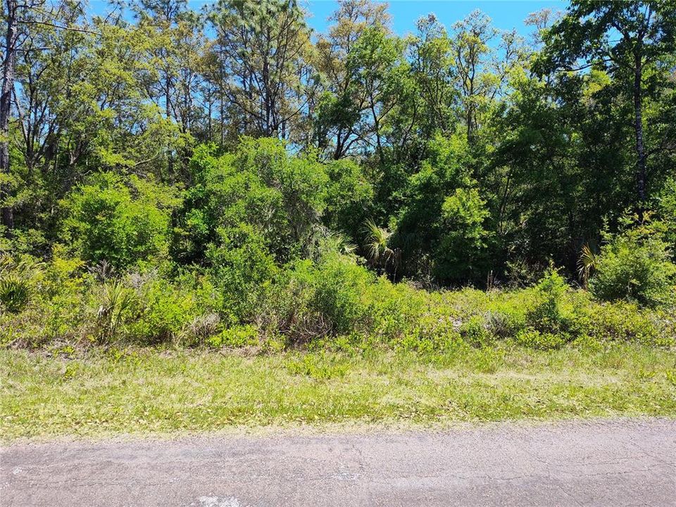 Recently Sold: $25,000 (1.15 acres)