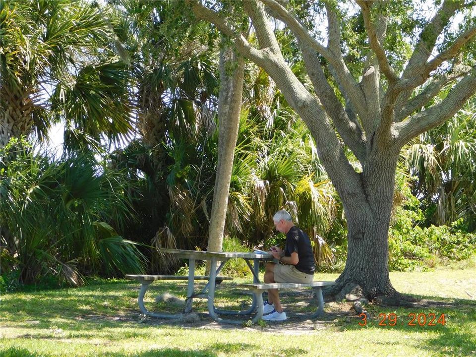 picnic under the majestic oaks