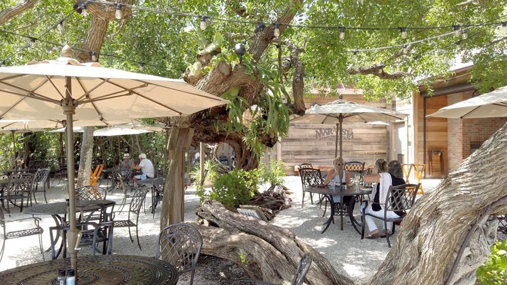 Dine under the beautiful Buttonwood trees