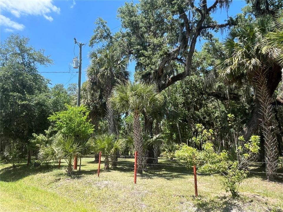 Recently Sold: $23,400 (1.25 acres)