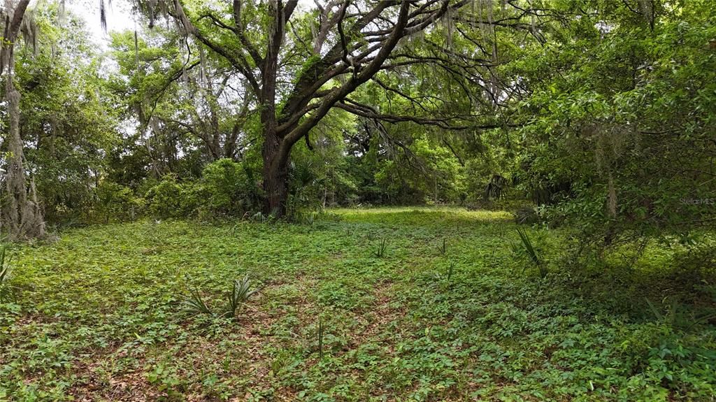 En Venta: $44,900 (1.91 acres)