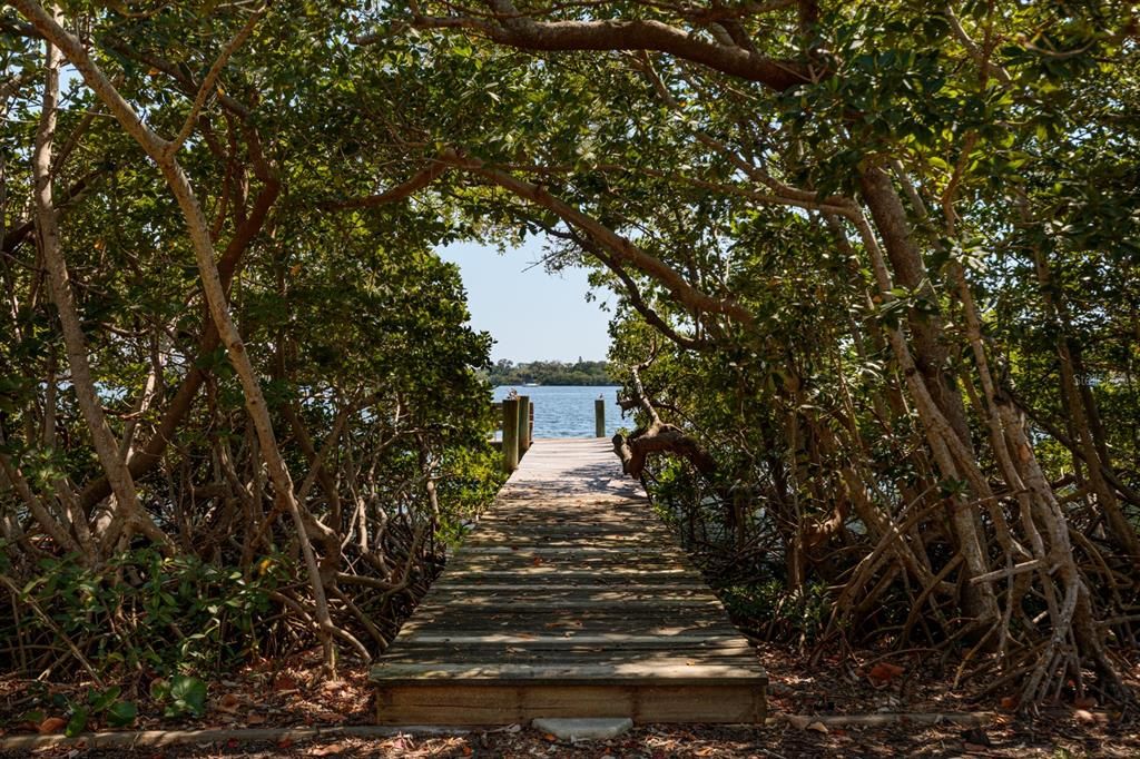 Walkway through mangroves to private dock
