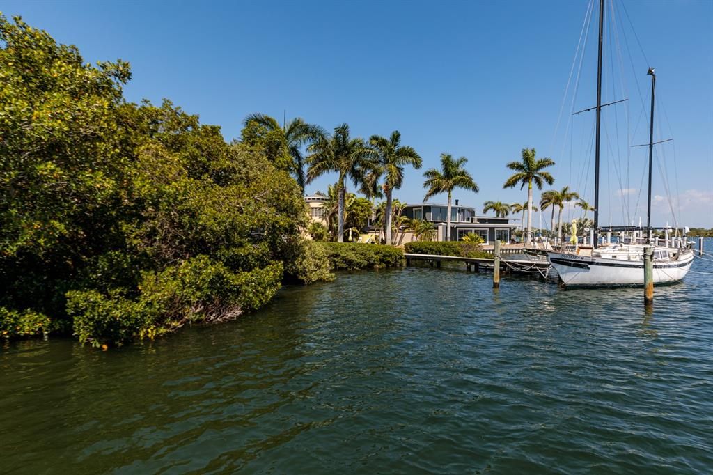 Neighbors sailboat to right side. Note their mangrove height