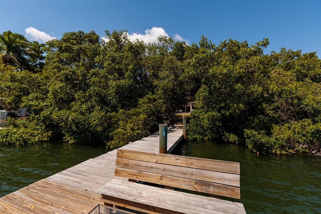 Mangroves creates huge privacy