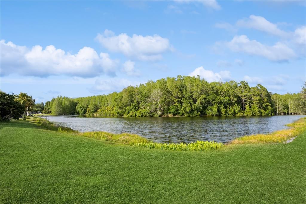 Lake view from backyard