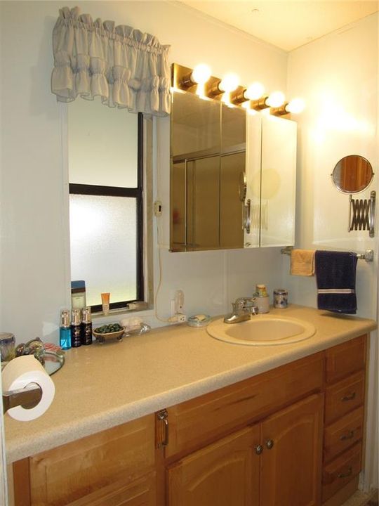 updated vanity & countertop.