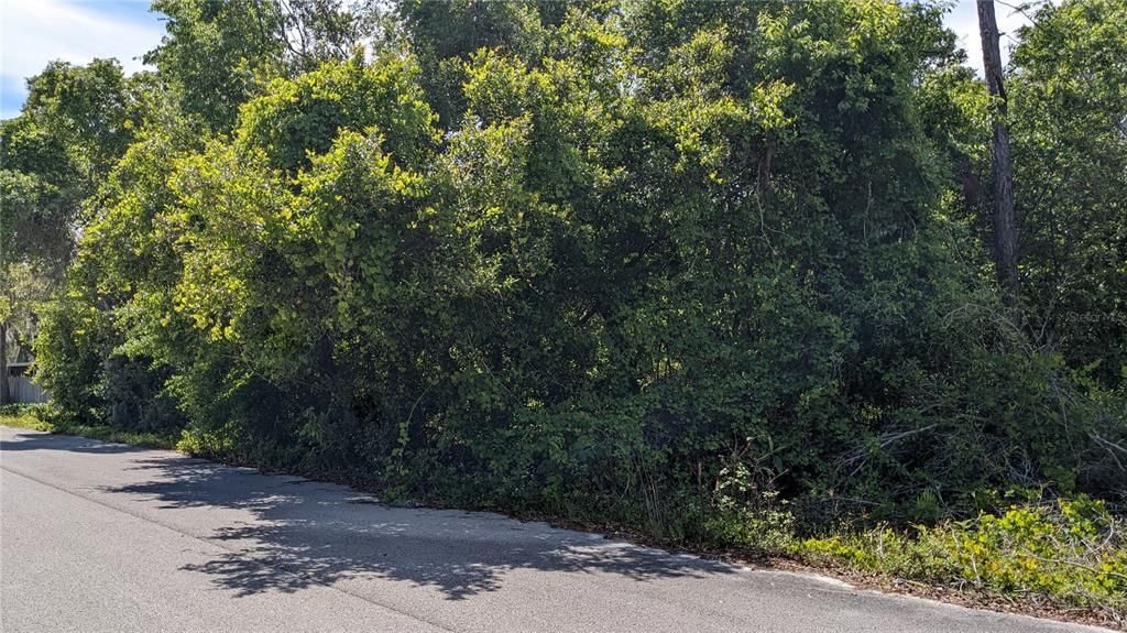 Недавно продано: $19,000 (0.18 acres)