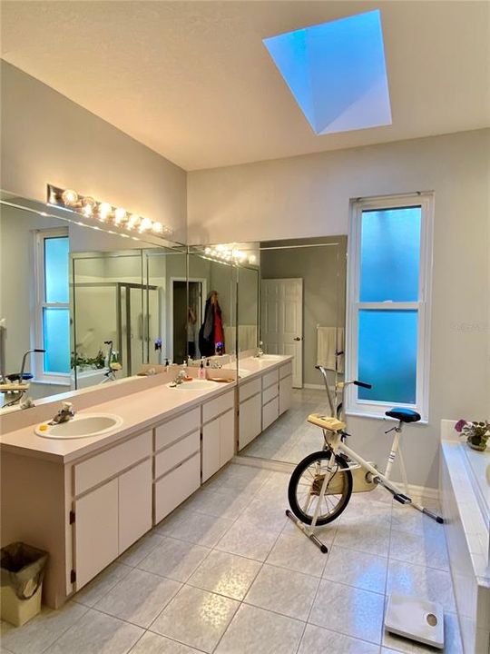 Ensuite has a skylight for added natural light