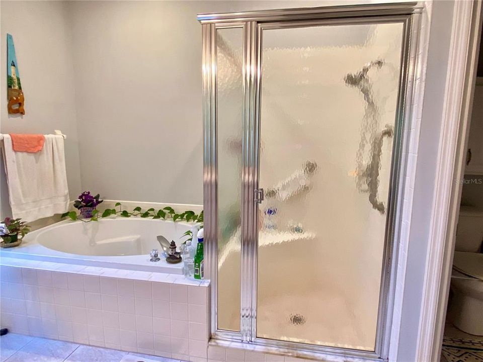 Garden tub and shower area