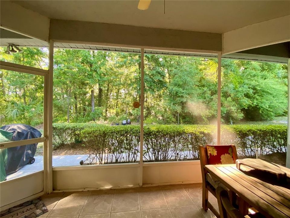 Wooded view of backyard