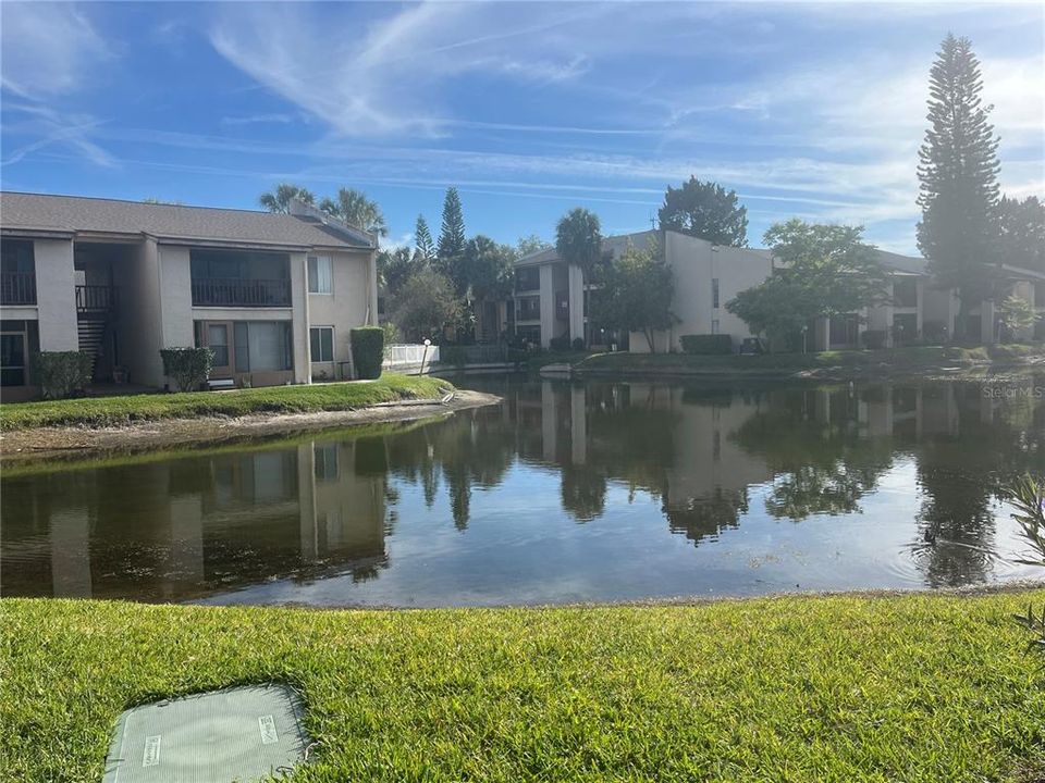 pond near condo