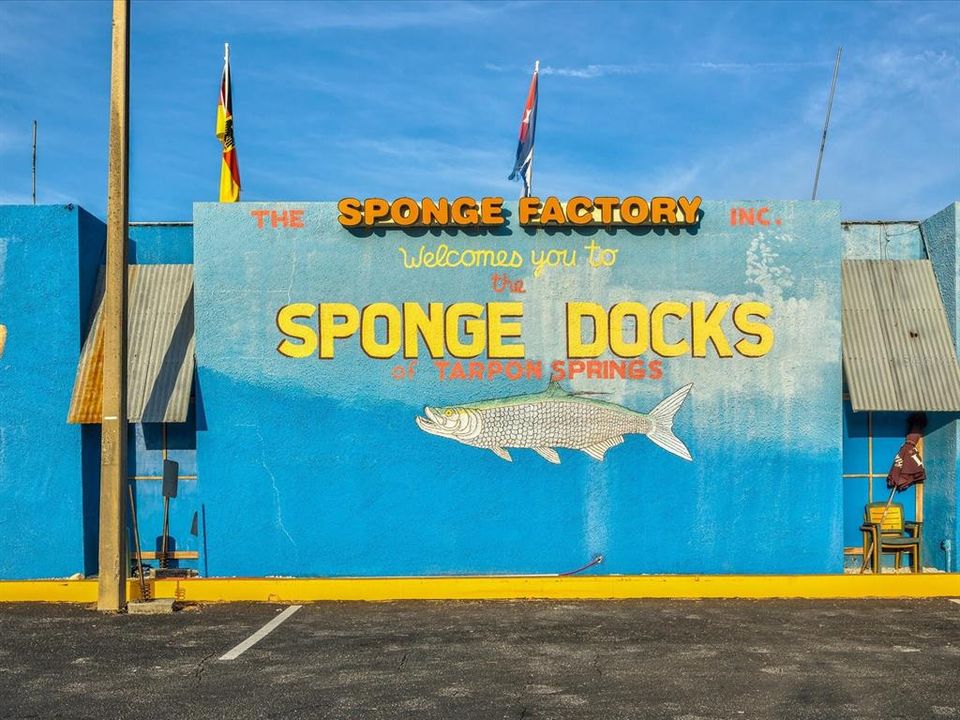 Sponge Factory