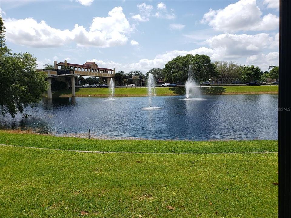 Waterside at DT Lake Mary park