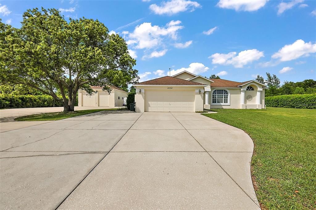 Driveway View