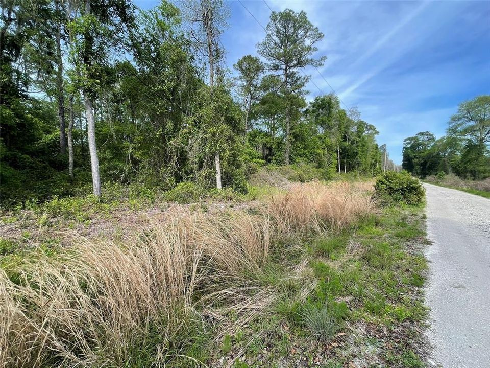 Active With Contract: $129,900 (9.85 acres)
