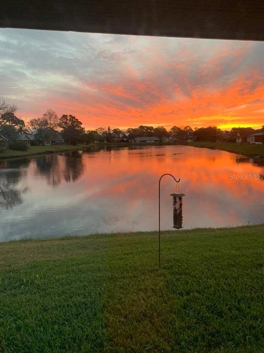 Enjoy beautiful sunsets over Lake Fairgreen from your screened lanai.