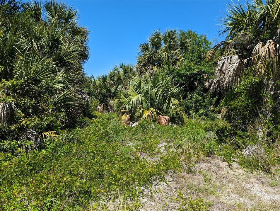 Active With Contract: $50,000 (0.23 acres)